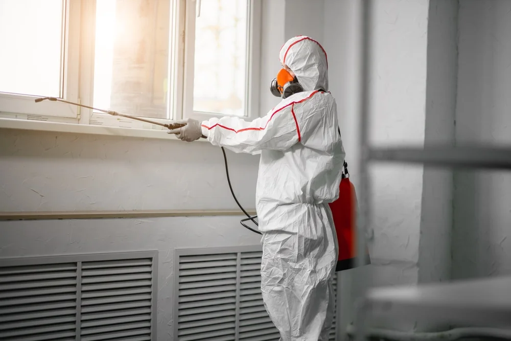 Professional mold remediation services in Gillett, WI